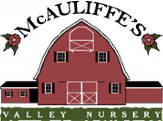 McAuliffe's Valley Nursery (1325053)